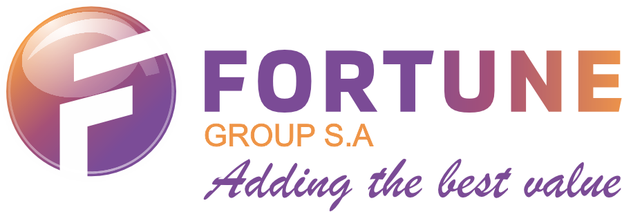 Fortune Investment S/a